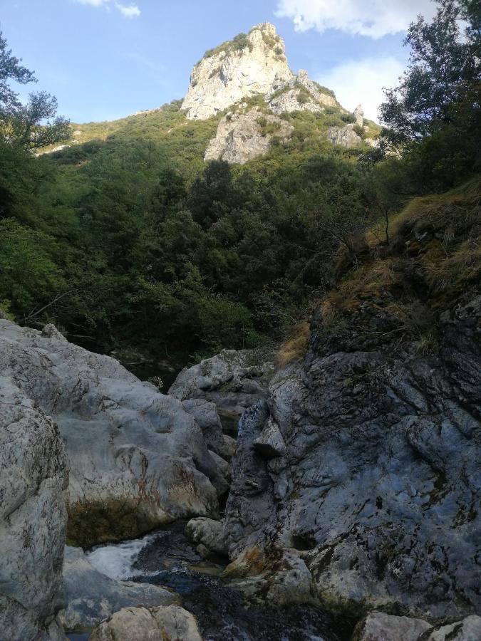 Gite De Kate Albieres Εξωτερικό φωτογραφία
